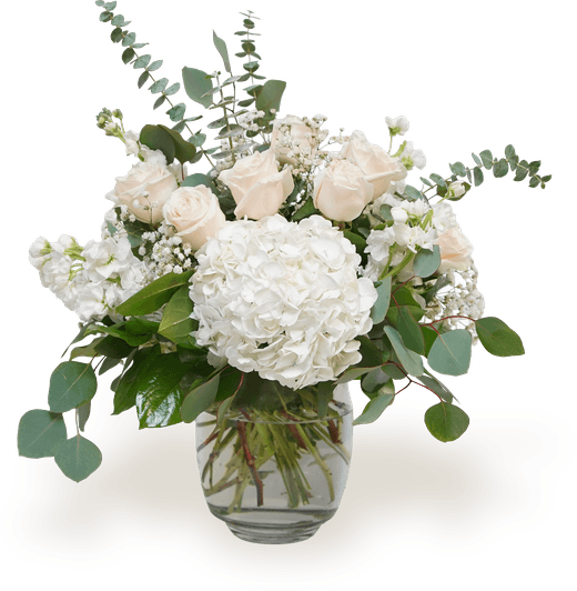 Arreglo de hortensias blancas, rosas crema, gipsófila, stock y eucalipto.
